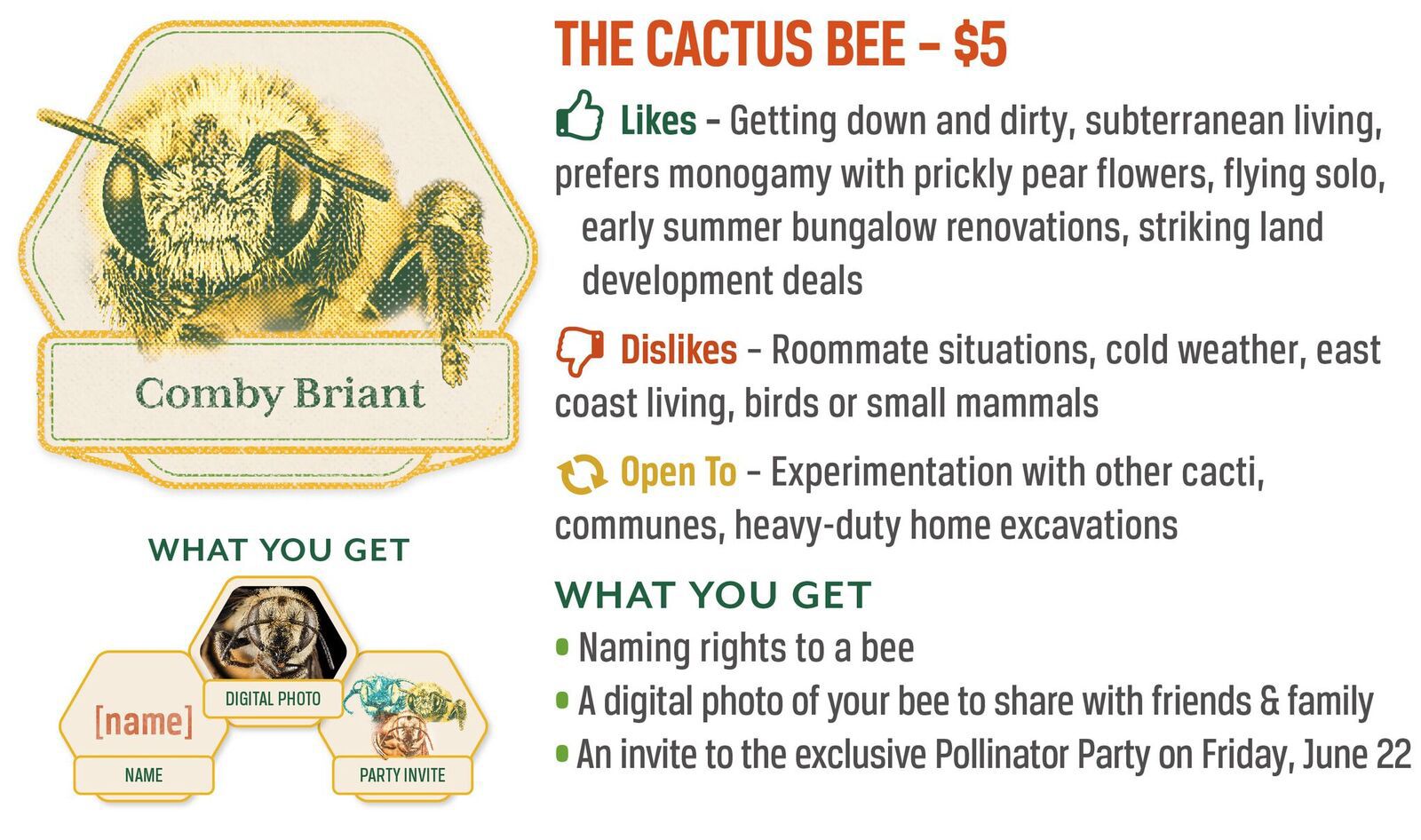 The Cactus Bee